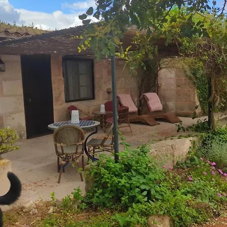 Agroturismo Finca Sant Blai-3