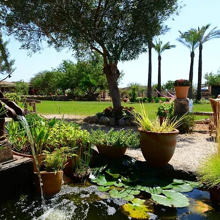 Agroturismo Finca Sant Blai-2